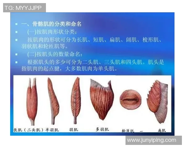 科学CSGO实力训练方法全面解析与实战技巧提升指南